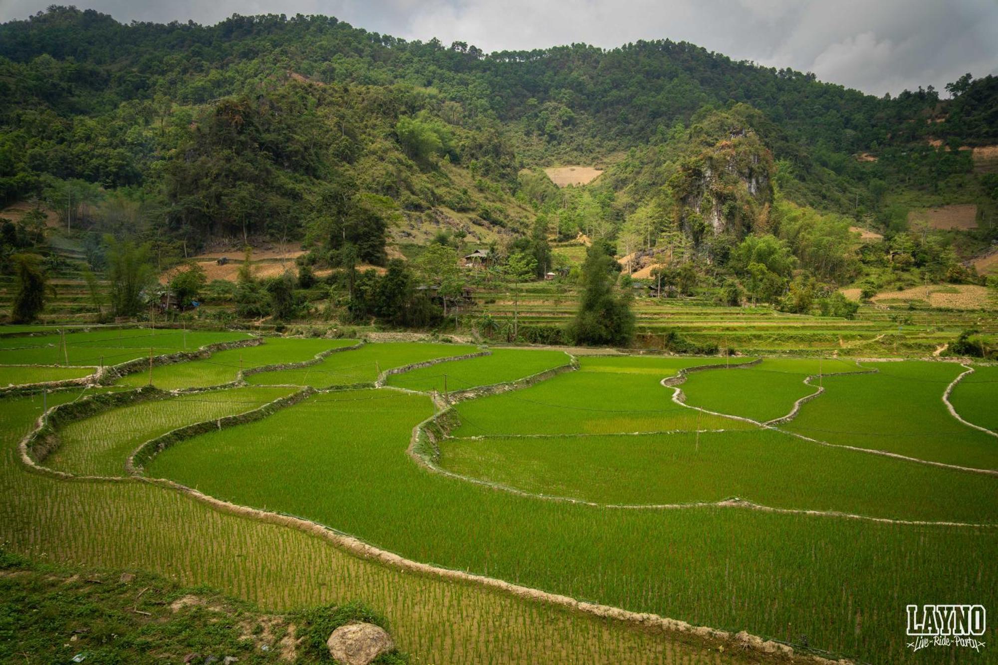 Quiri Hostel Ha Giang Lang Lap Exterior foto